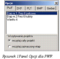 Pole tekstowe:  
  
  Rysunek 39Panel Opcji dla PWF.
