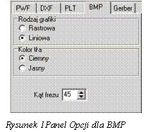 Pole tekstowe:  

  Rysunek 39Panel Opcji dla BMP
