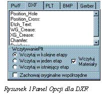 Pole tekstowe:  
 
  Rysunek 39Panel Opcji dla DXF.
